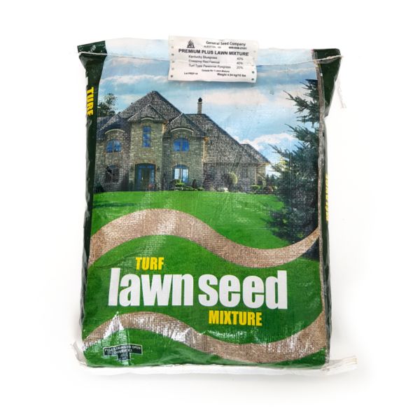 High Kentucky Bluegrass lawn seed mix