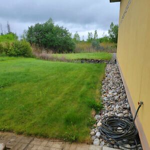 Solacity Eco-Lawn